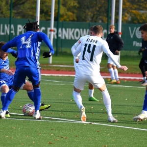 miedzII-slaskII-fot-ewajak093.JPG