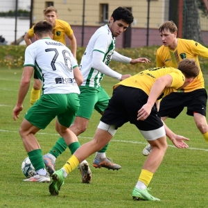 prochowice-zlotoryja-fot-ewajak069.JPG