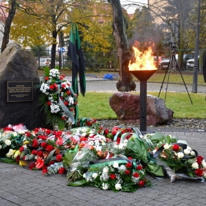 kwiaty-pod-pomnikiem-lubin-fot-zjak098.JPG