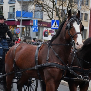 barborka-ad24-fot-zjak165.JPG