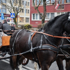 barborka-ad24-fot-zjak176.JPG