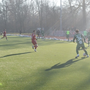 miedz_warta_poznan-fot-dawid-soltys23.JPG