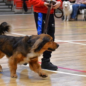 pochwal-sie-zwierzatkiem-fot-ewajak032.JPG