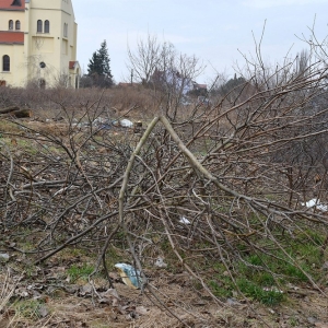 piekary-d-wyreb-fot-ewajak016.JPG