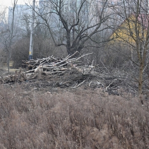 piekary-d-wyreb-fot-ewajak035.JPG