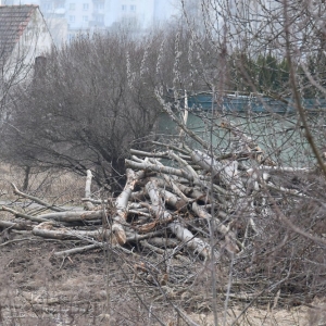 piekary-d-wyreb-fot-ewajak036.JPG