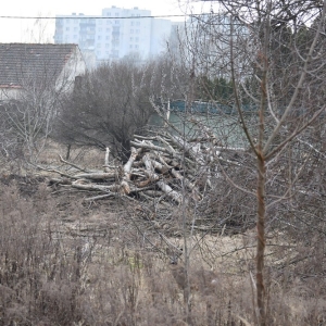 piekary-d-wyreb-fot-ewajak037.JPG