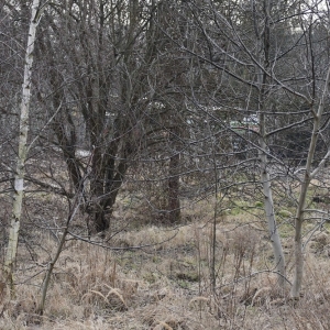 piekary-d-wyreb-fot-ewajak038.JPG