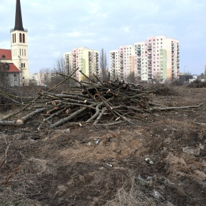 piekary-d-wyreb-fot-ewajak073.JPG