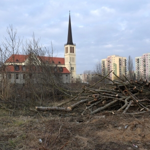 piekary-d-wyreb-fot-ewajak074.JPG