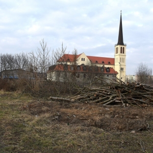 piekary-d-wyreb-fot-ewajak080.JPG