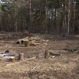 Budowa-drogi-Przylesie-Polesie-fot-dariusz-szymacha4.jpg