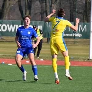 miedzII-stal-fot-ewajak075.JPG