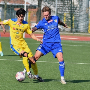 miedzII-stal-fot-ewajak102.JPG