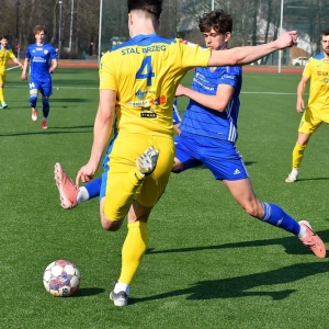 miedzII-stal-fot-ewajak128.JPG