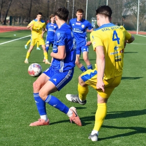 miedzII-stal-fot-ewajak130.JPG