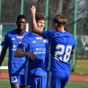 miedzII-stal-fot-ewajak133.JPG