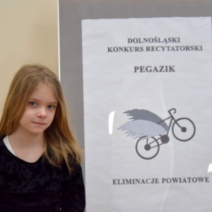 pegazik08.jpg