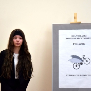 pegazik14.jpg