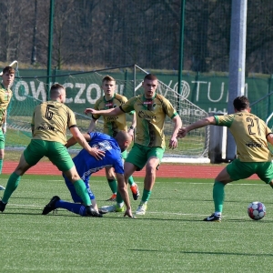 miedz2-pniowek-fot-ewajak01.JPG