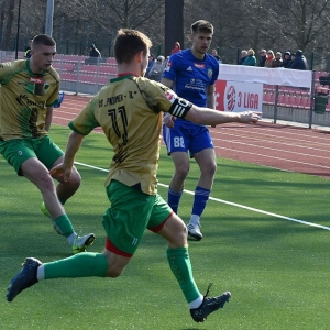 miedz2-pniowek-fot-ewajak02.JPG