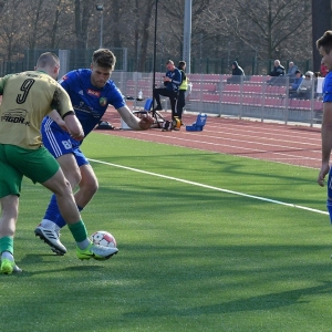 miedz2-pniowek-fot-ewajak03.JPG