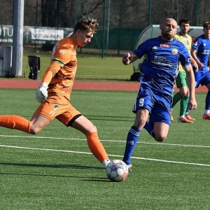 miedz2-pniowek-fot-ewajak05.JPG