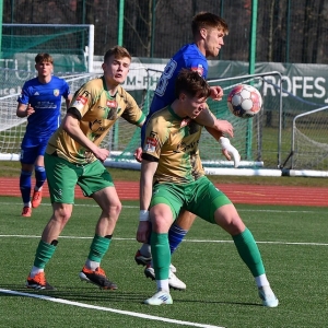 miedz2-pniowek-fot-ewajak11.JPG