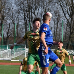 miedz2-pniowek-fot-ewajak17.JPG