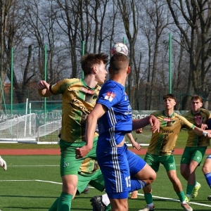 miedz2-pniowek-fot-ewajak18.JPG