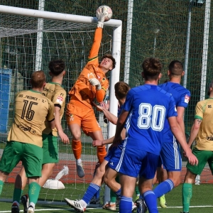 miedz2-pniowek-fot-ewajak19.JPG