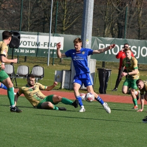 miedz2-pniowek-fot-ewajak22.JPG