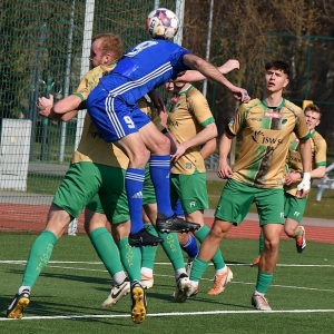 miedz2-pniowek-fot-ewajak29.JPG