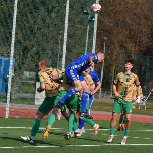 miedz2-pniowek-fot-ewajak30.JPG