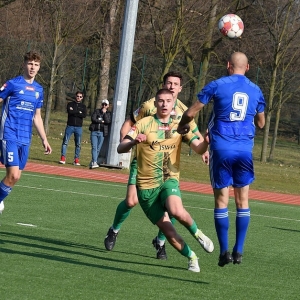 miedz2-pniowek-fot-ewajak31.JPG