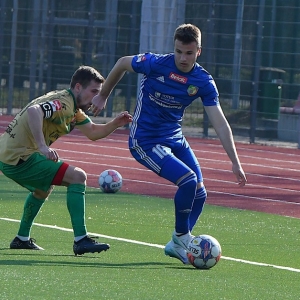 miedz2-pniowek-fot-ewajak35.JPG