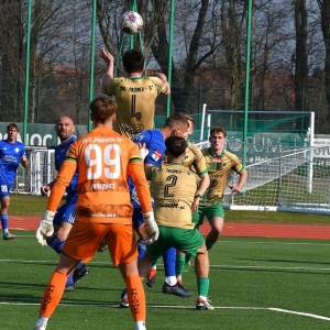 miedz2-pniowek-fot-ewajak38.JPG