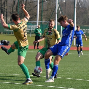 miedz2-pniowek-fot-ewajak39.JPG