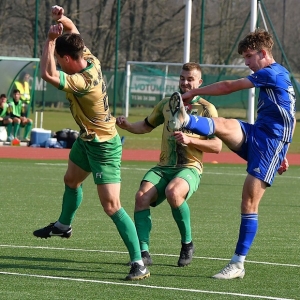 miedz2-pniowek-fot-ewajak40.JPG