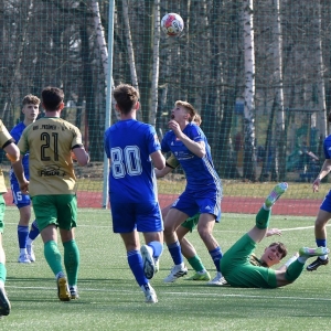 miedz2-pniowek-fot-ewajak42.JPG
