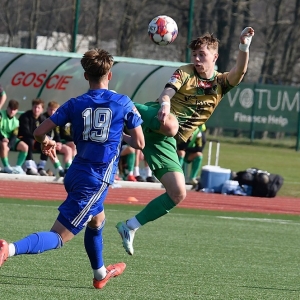 miedz2-pniowek-fot-ewajak49.JPG