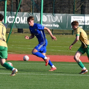 miedz2-pniowek-fot-ewajak51.JPG