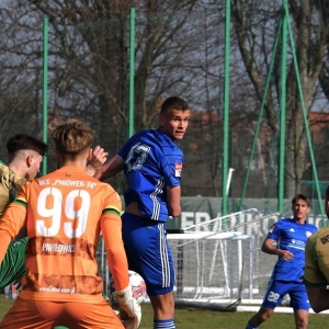miedz2-pniowek-fot-ewajak53.JPG