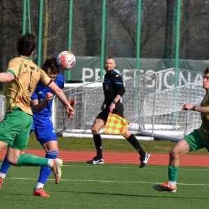 miedz2-pniowek-fot-ewajak55.JPG