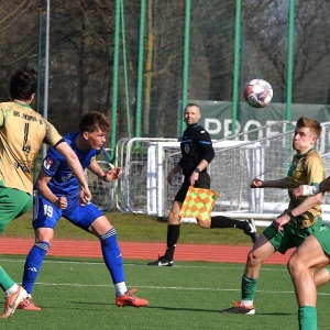 miedz2-pniowek-fot-ewajak56.JPG