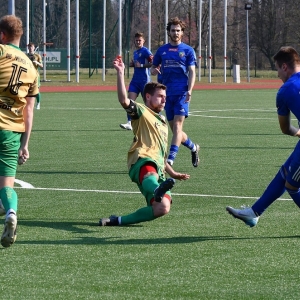 miedz2-pniowek-fot-ewajak63.JPG