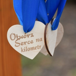bieg-otworz-serce-fot-ewajak166.JPG