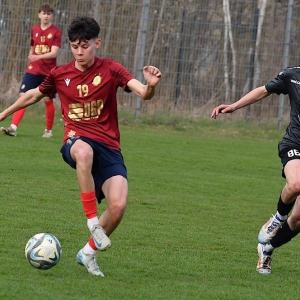 kochlice-zryw-fot-ewajak090.JPG