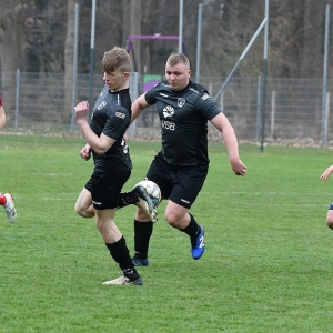 kochlice-zryw-fot-ewajak152.JPG