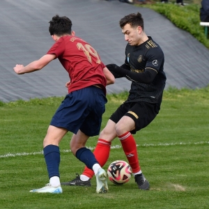 legsad-kochlice-fot-ewajak060.JPG